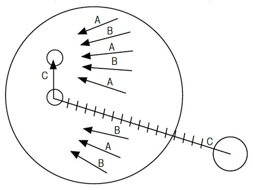 C Influences